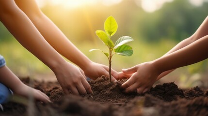 people hands planting small tree in sunset. concept save earth, Generative AI - Powered by Adobe