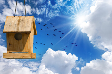 Small wooden birdhouse and a flock of birds against a beautiful blue clear sky with white cumulus clouds (cumulonimbus), bottom view, full frame, photography.