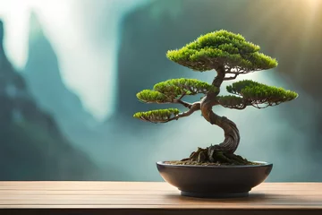 Fotobehang bonsai tree in pot © Anmol