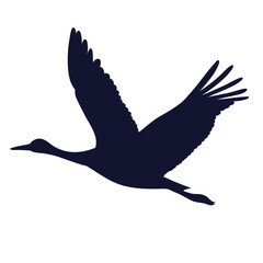 stork flying silhouette on white background vector