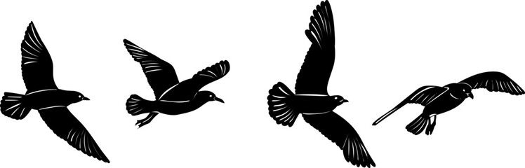 polar fish flying silhouette on a white background vector