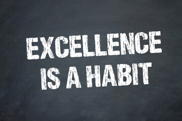 excellence is a habit	