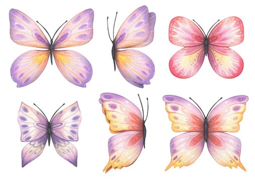 Set with abstract butterfly in purple, yellow, red tones, watercolor