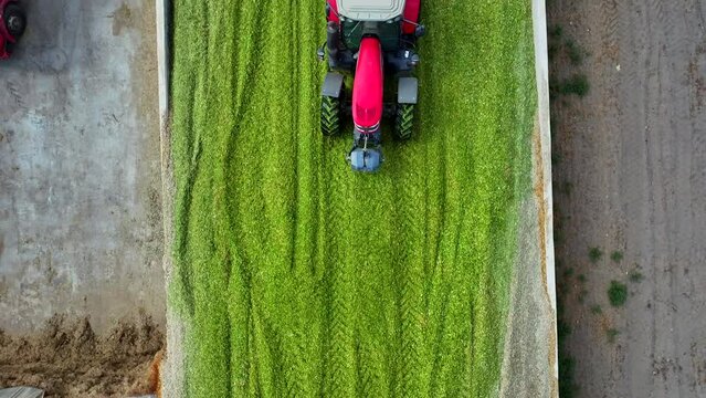 two tractors making silage in turkey