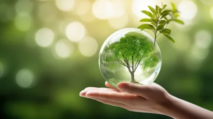 Fotobehang hand holding glass globe ball with tree growing and green nature background. eco environment concept, Generative AI © Frame Fusionist