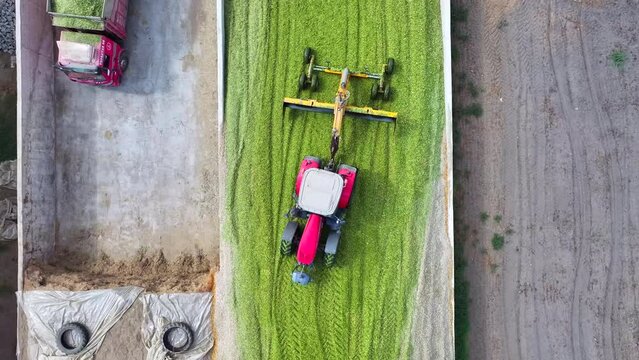 tractors making silage for animals