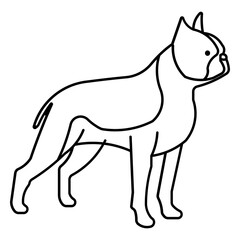 Bilby