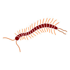 Centipede