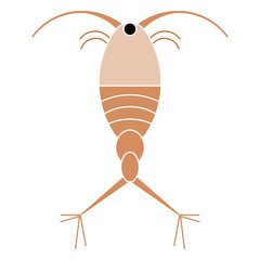 Copepod