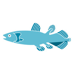 Coelacanth