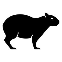 Capybara
