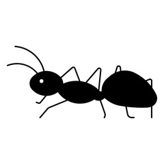 carpenter ant