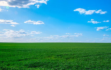 Image of green grass field and bright blue sky