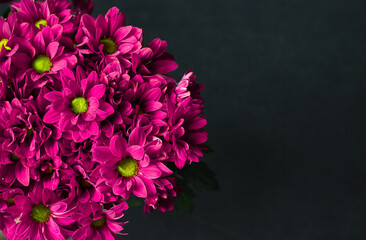 Beautiful abstract color black and red flowers on black background, texture, dark background, valentines day, love theme, red textureblack background with flowers,