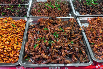 Deep fried spicy crickets insects at night street food market, selective focus