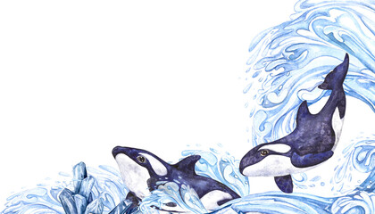 Watercolor illustration Arctic, Killer whales among splashes and waves in blue tones, composition isolated on transparent background © Marina