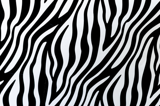 zebra skin texture