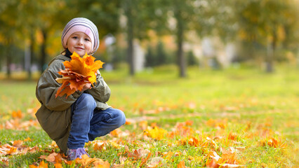 little girl collecting colorful autumn leaves in park. child and maple leaf fall. kid with foliage in forest. copy space, text, banner