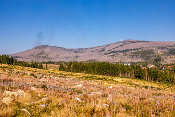 Spätsommerwanderung durch den Nationalpark Harz rund um Schierke - Sachsen-Anhalt - Deutschland