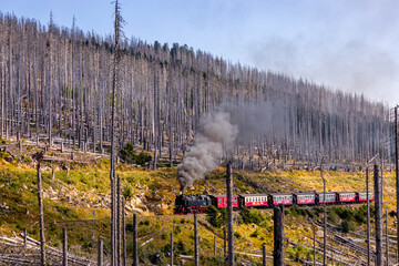 Spätsommerwanderung durch den Nationalpark Harz rund um Schierke - Sachsen-Anhalt - Deutschland