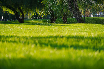 watering the lawn in the city park, splashing water, bright sunlight on the green grass, trees in the shade, a beautiful summer landscape