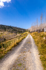 Spätsommerwanderung durch den Nationalpark Harz rund um Schierke - Sachsen-Anhalt - Deutschland