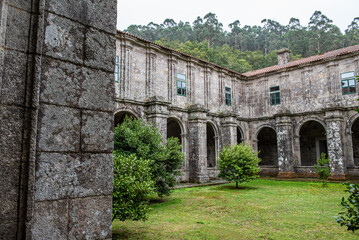 Fototapeta na wymiar Among stones, flowers and vineyards of Albariño in Galicia, Spain
