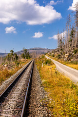 Spätsommerwanderung durch den Nationalpark Harz rund um Schierke - Sachsen-Anhalt - Deutschland