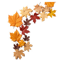 Naklejka na ściany i meble autumn maple leaves isolated on Transparent background, in the style of frame construction