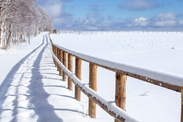 晴れた日の冬の高原の牧場の朝
