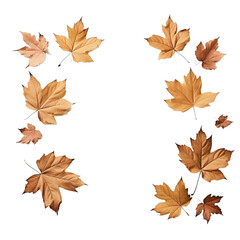 autumn maple leaves isolated on Transparent background, in the style of frame construction