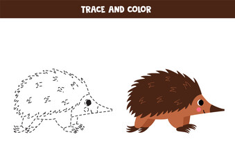 Trace and color cute cartoon echidna. Worksheet for kids.