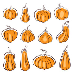 Pumpkins collection in line art style. Design for Thanksgiving day, Halloween or Autumn Concept. Vector illustration isolated on a white background.