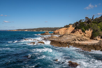 Panoramic Seascape, with seals frolicing in the surf, Bermagui, New South Wales, Australia.