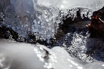 冬の水辺のしぶき氷の輝き1
