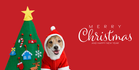 Merry Christmas and Happy New year background with dog wearing Santa Claus costume and decorated tree.