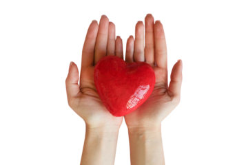 Red heart in hands on a transparent background