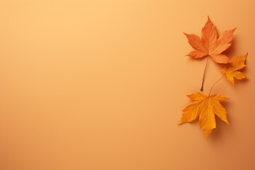 Naklejka na ściany i meble Autumn leaves abstract background, Colorful foliage in park, fall leaf