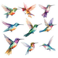 Obraz na płótnie Canvas Set of Hummingbird