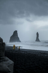 Reynisfjara Black Sand Beach in Vik, Iceland