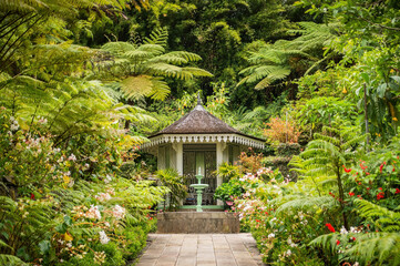 Old kiosk with fountain on the tropical Reunion Island in the Indian Ocean - obrazy, fototapety, plakaty