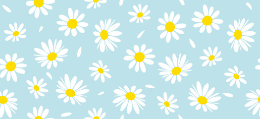Daisy flower pattern. Beautiful White flower background. floral blossom daisy. Spring white flower design vector. Daisy's on a light blue background. Vector design for fabric, wrap paper,  print card.