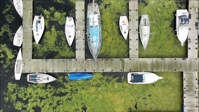 drone captures rare outbreak of blue green algae in lough neagh in northern ireland