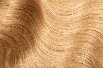 Blond hair close-up as a background. Women's long blonde hair. Beautifully styled wavy shiny curls....
