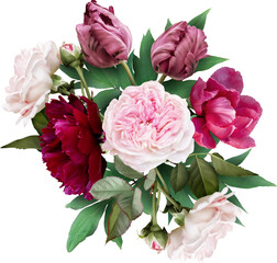 Pink rose, tulip and maroon peony isolated on a transparent background. Png file.  Floral...
