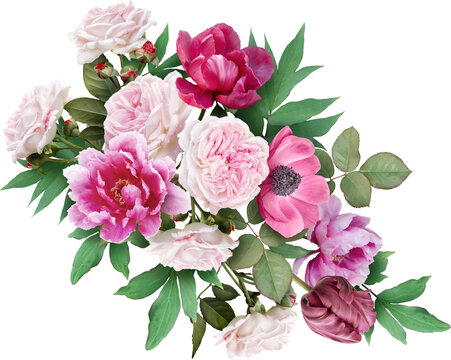 Pink roses , tulip and peony isolated on a transparent background. Png file.  Floral arrangement, bouquet of garden flowers. Can be used for invitations, greeting, wedding card.