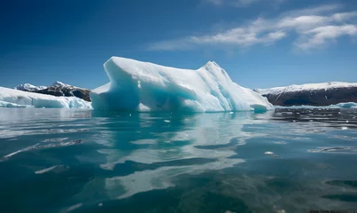 Poster melting icebergs and glaciers in polar regions © Rax Qiu