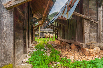 Antalya Historical Granaries with a history of 350 years