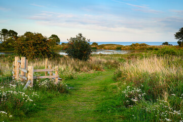 The North Sea by Embleton Quarry Nature Reserve, a former whinstone quarry the new reserve is a tribute to the local community in the coastal village of Embleton who developed the site