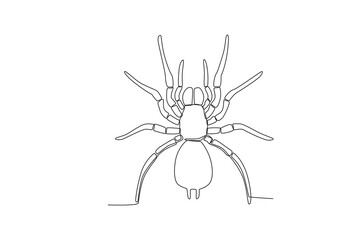 A single continuous line drawing of an spider for the farm's logo identity.  Single line drawing graphic design vector illustration
